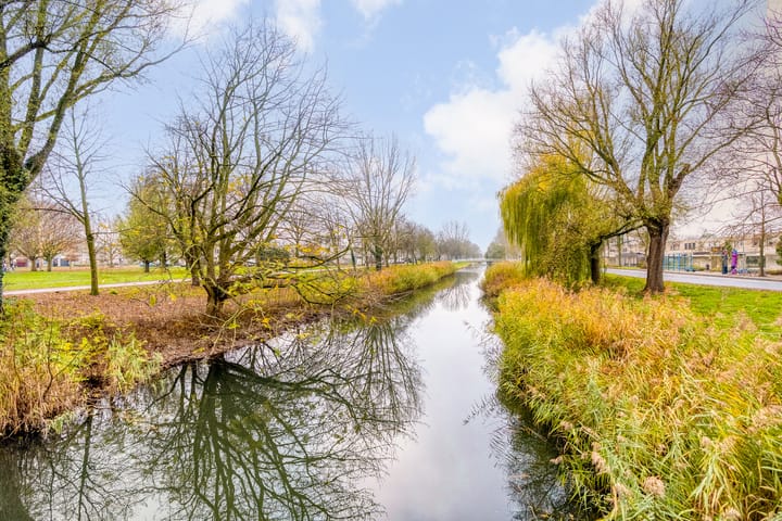 Foto 63 van Vergeet-mij-nietjestraat 32