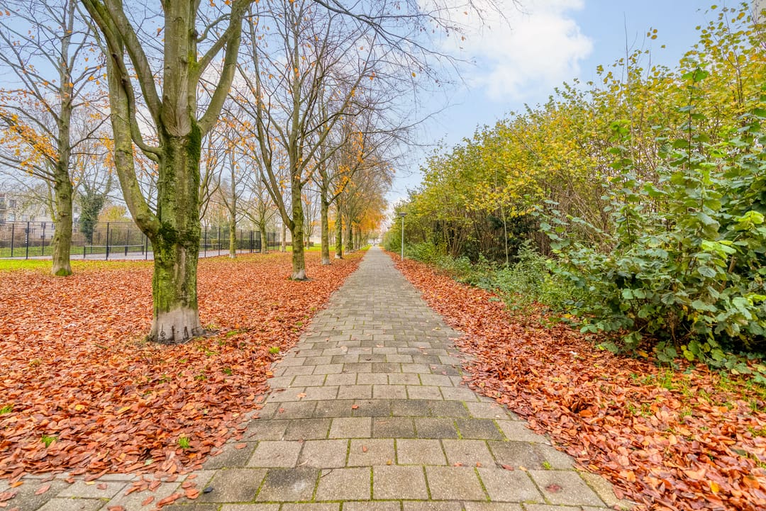 Foto 68 van Vergeet-mij-nietjestraat 32