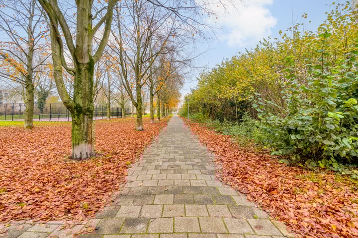 Foto 64 van Vergeet-mij-nietjestraat 32