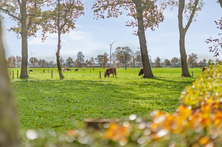 Photo 15 of Dekkersweg 8