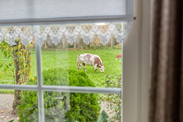 Photo 24 of Dekkersweg 8