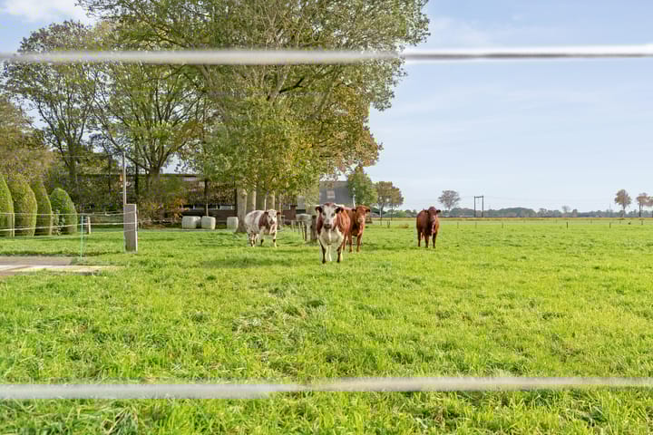 Photo 63 of Dekkersweg 8