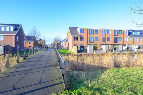 Meerval 60 secondary image