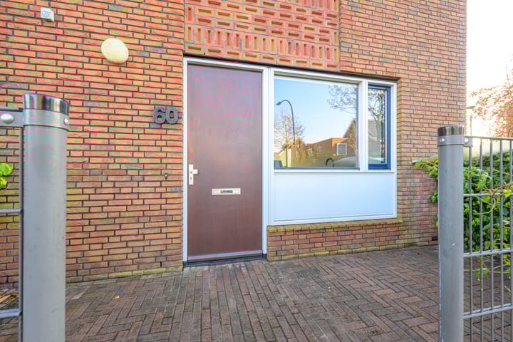 Photo 4 of Meerval 60