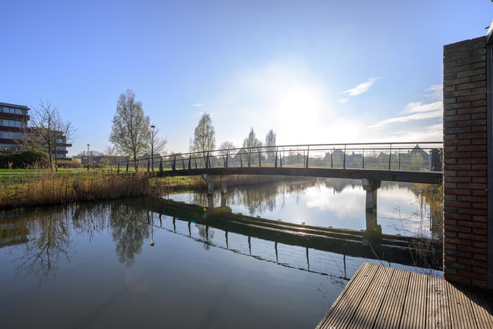 Photo 8 of Meerval 60