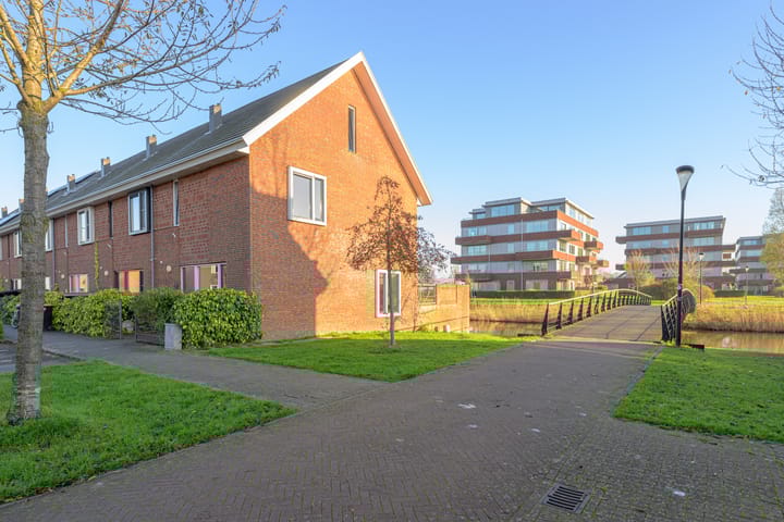 Photo 33 of Meerval 60