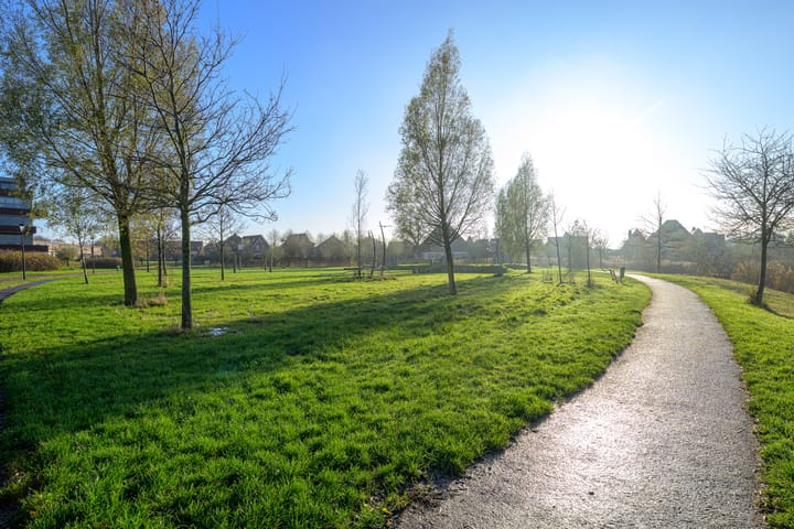 Photo 34 of Meerval 60