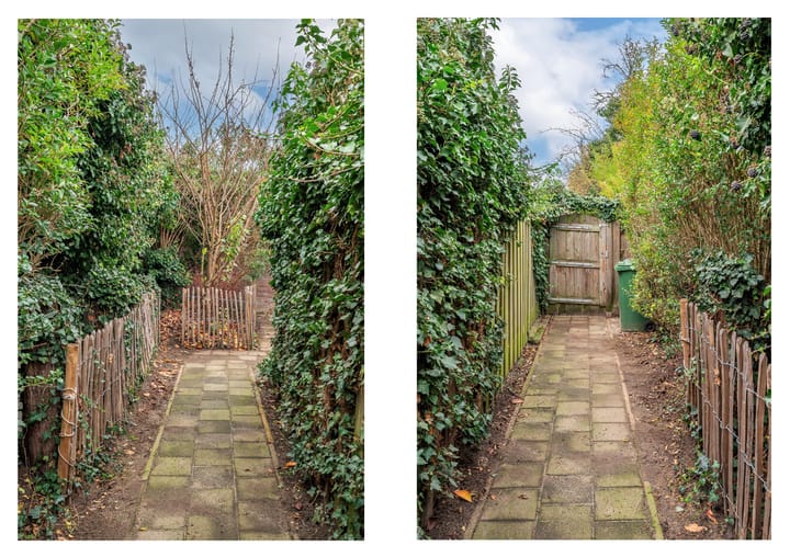 Foto 42 van Willemstraat 16