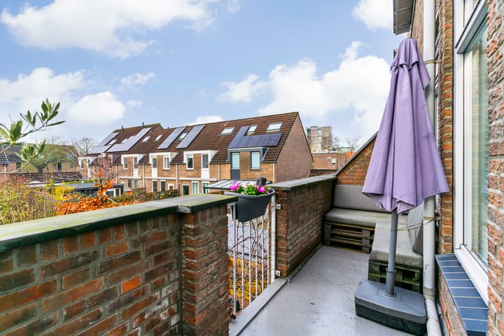 Photo 14 of Paardebloem 105