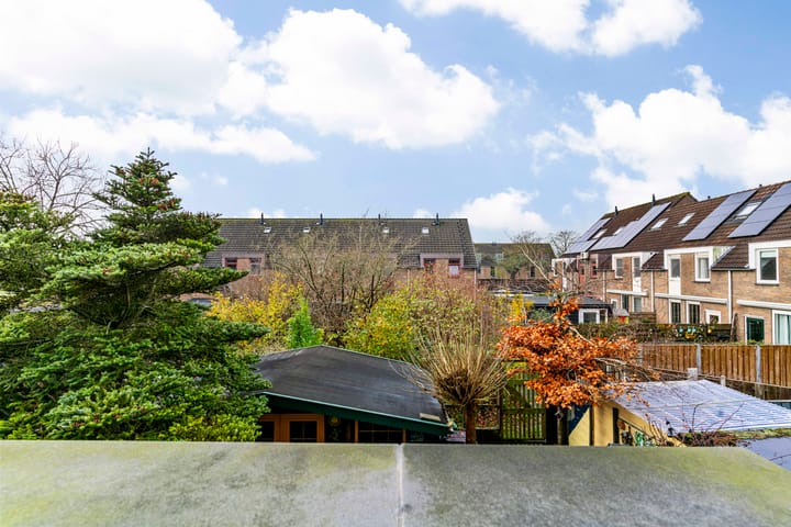 Photo 16 of Paardebloem 105