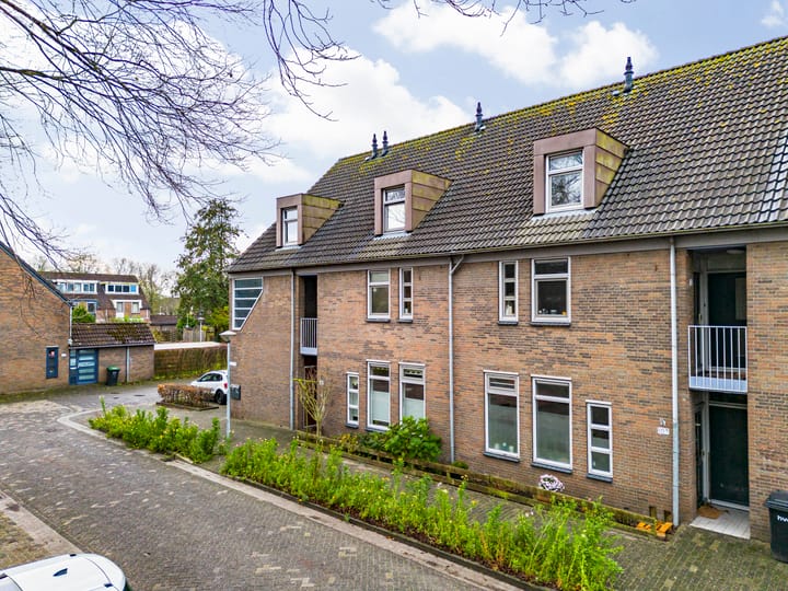 Photo 29 of Paardebloem 105