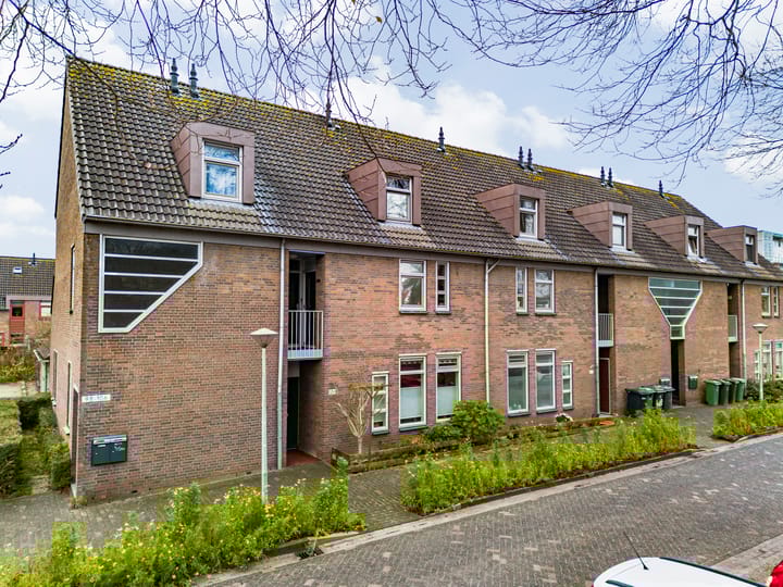 Photo 30 of Paardebloem 105