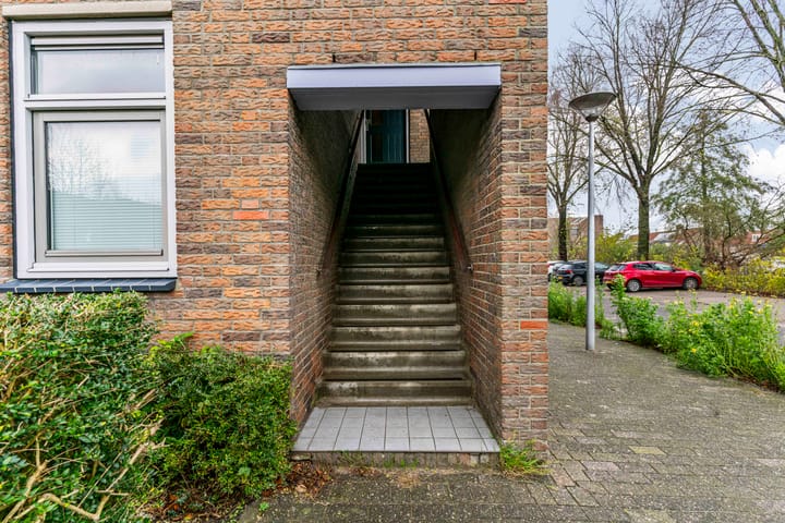 Photo 31 of Paardebloem 105