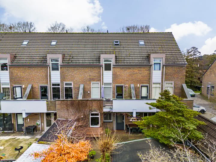 Photo 32 of Paardebloem 105