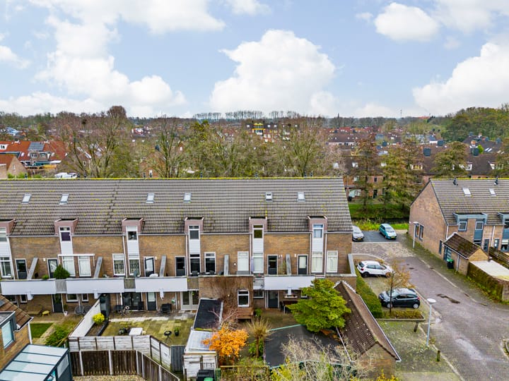 Photo 33 of Paardebloem 105