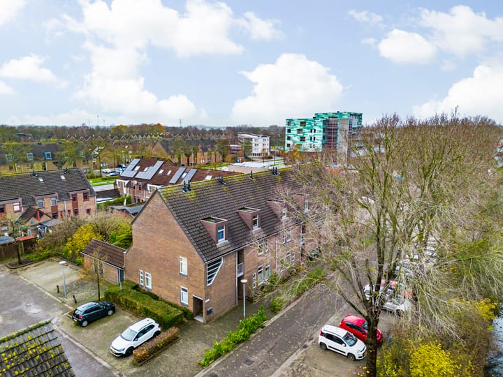 Photo 34 of Paardebloem 105