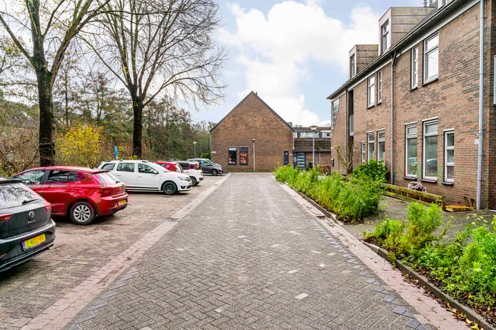 Photo 35 of Paardebloem 105