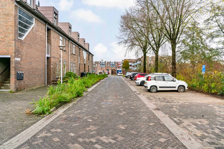 Photo 36 of Paardebloem 105