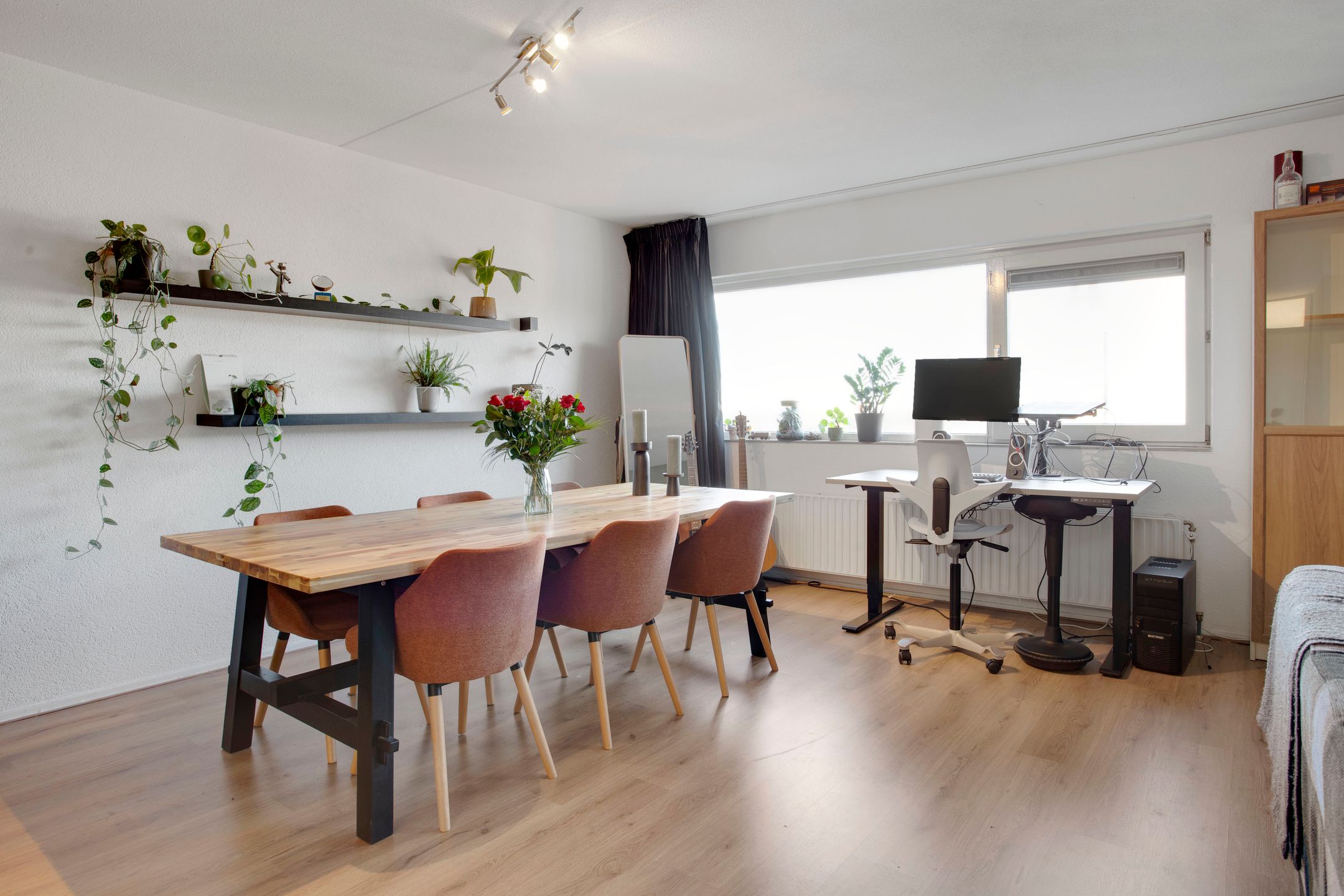 Foto 15 van Brink 168