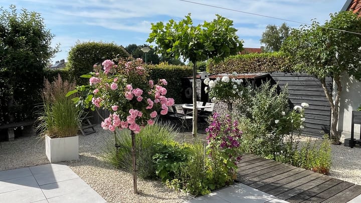 Foto 40 van Hottingawei 14