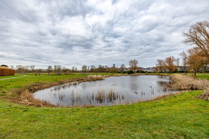 Photo 53 of Gouwland 11