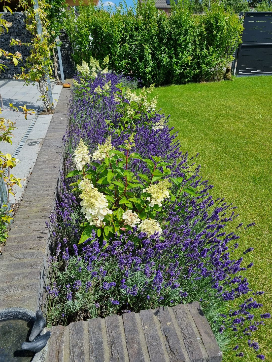 Foto 32 van Miséricorde 32