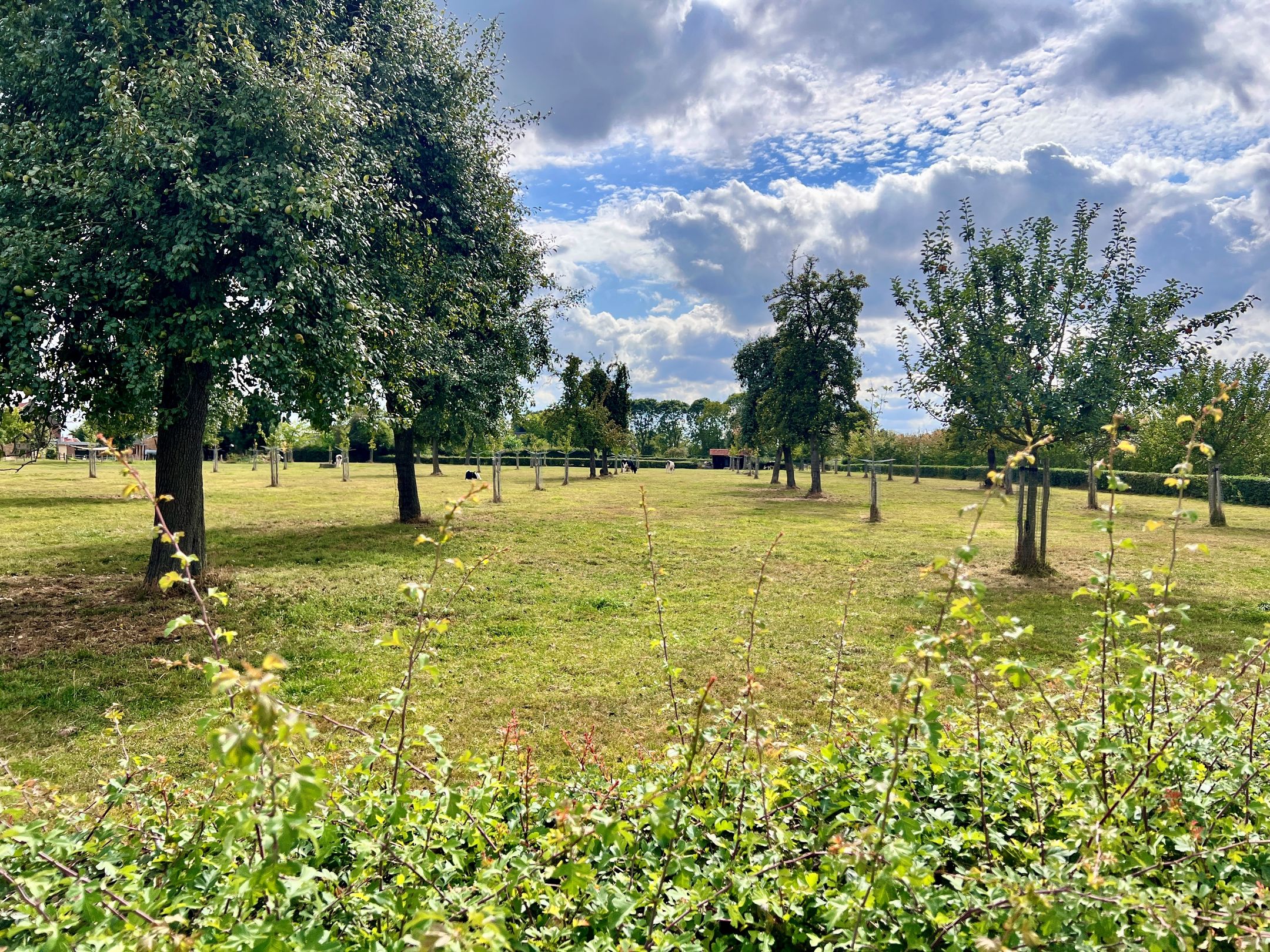 Foto 33 van Miséricorde 32