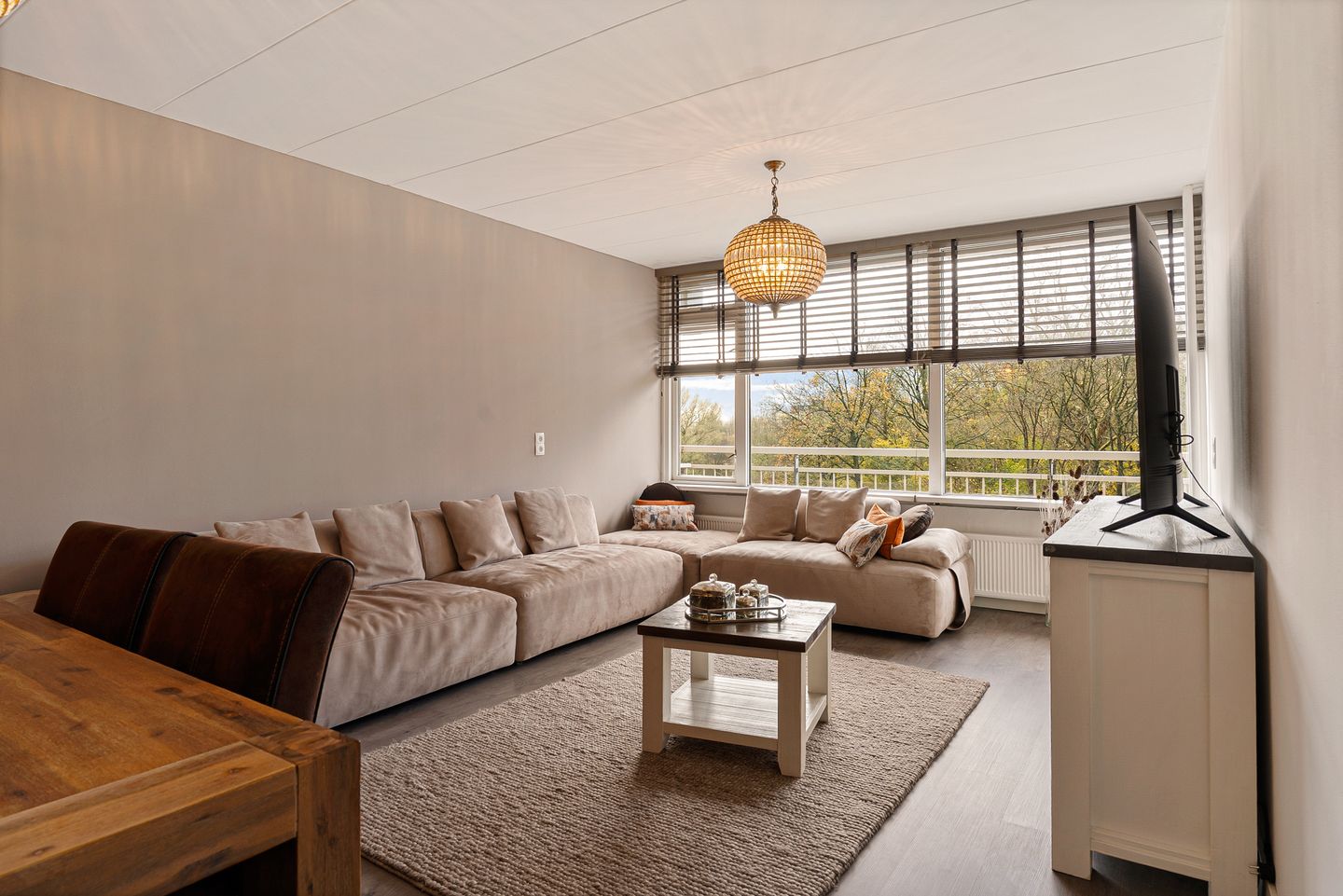 Photo 14 of Dunantstraat 919