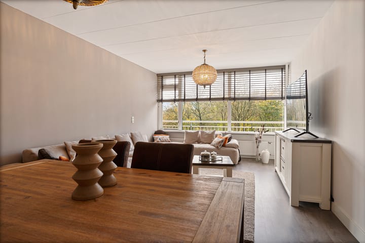 Foto 17 van Dunantstraat 919