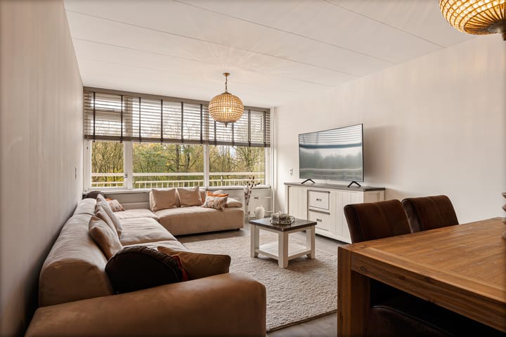 Foto 18 van Dunantstraat 919