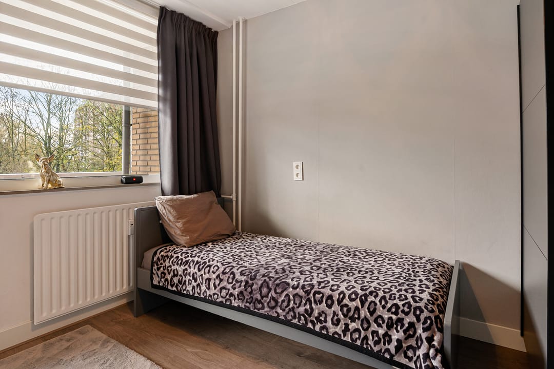 Photo 38 of Dunantstraat 919