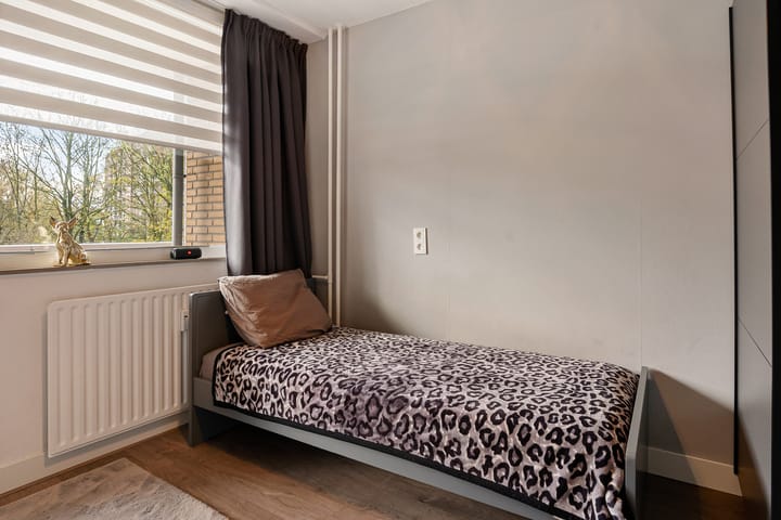 Foto 38 van Dunantstraat 919