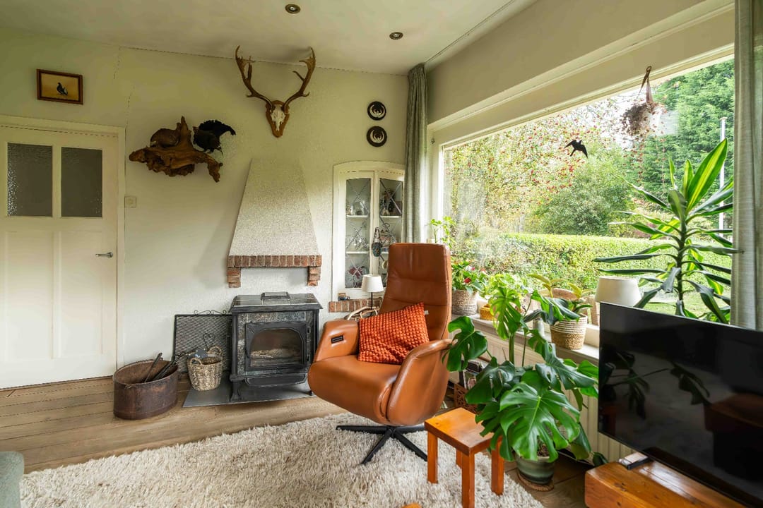 Photo 11 of Hogezoom 75