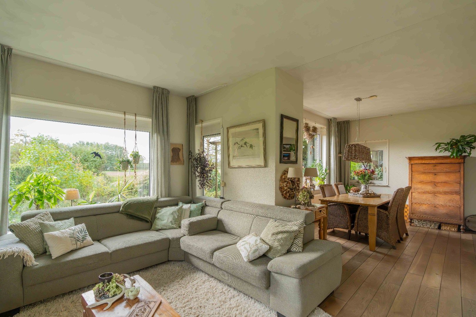 Photo 12 of Hogezoom 75