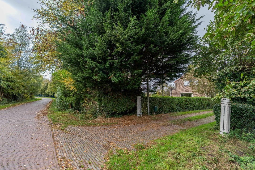 Photo 41 of Hogezoom 75