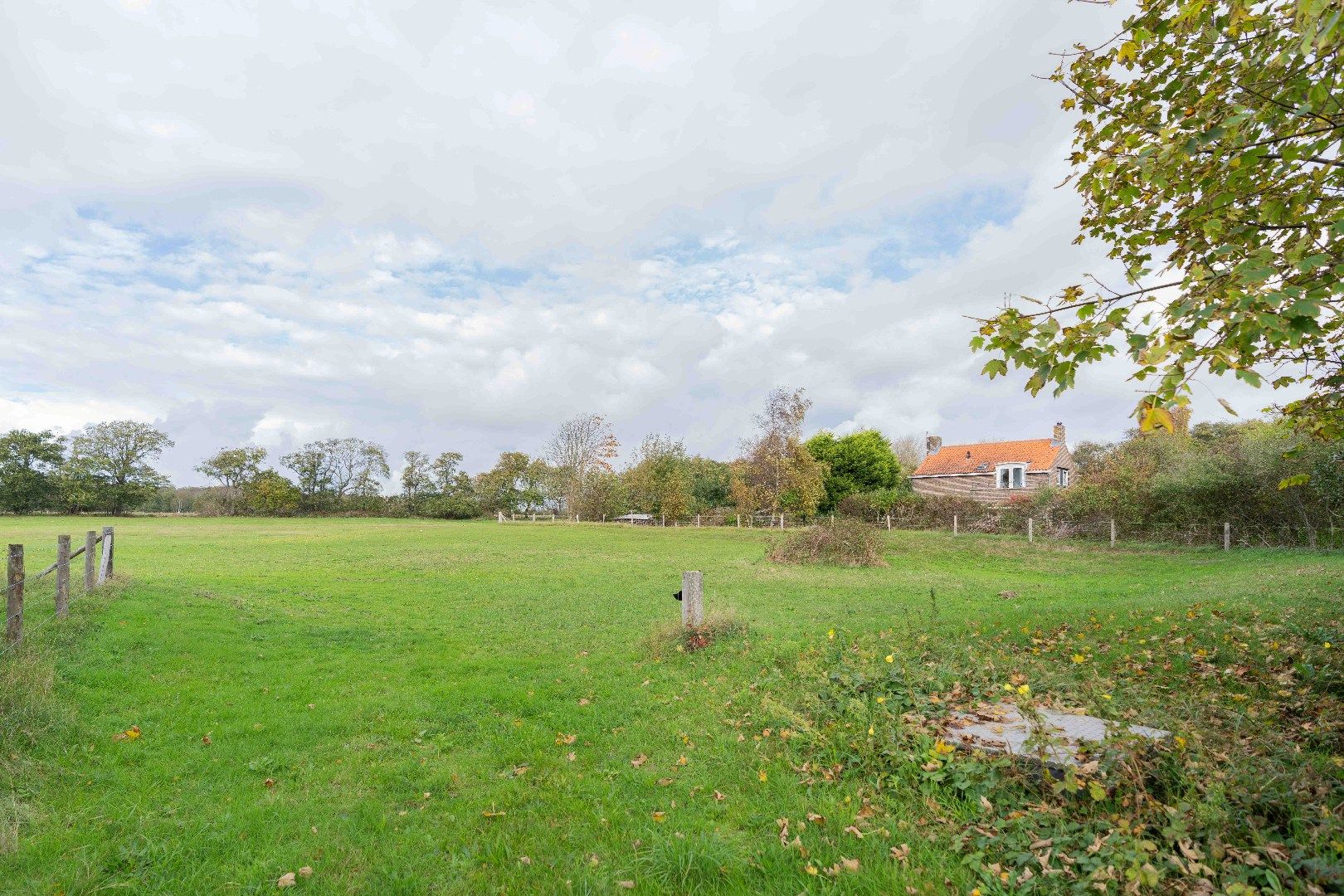 Photo 42 of Hogezoom 75