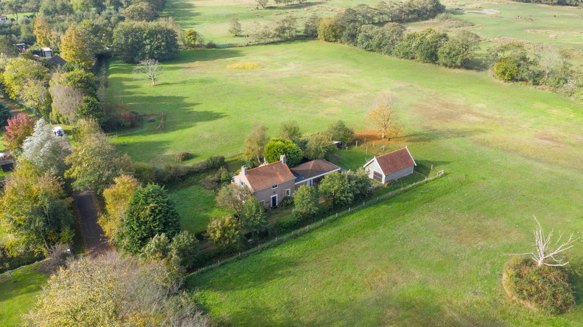 Photo 45 of Hogezoom 75