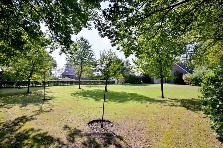 Foto 12 van Buddezand 7