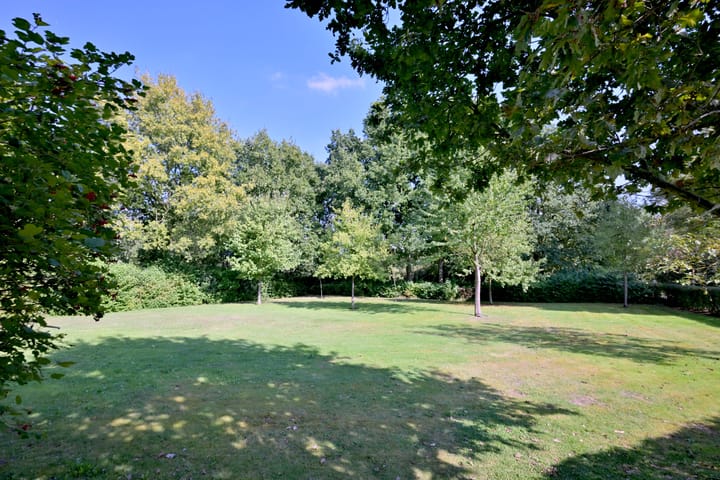 Foto 10 van Buddezand 7