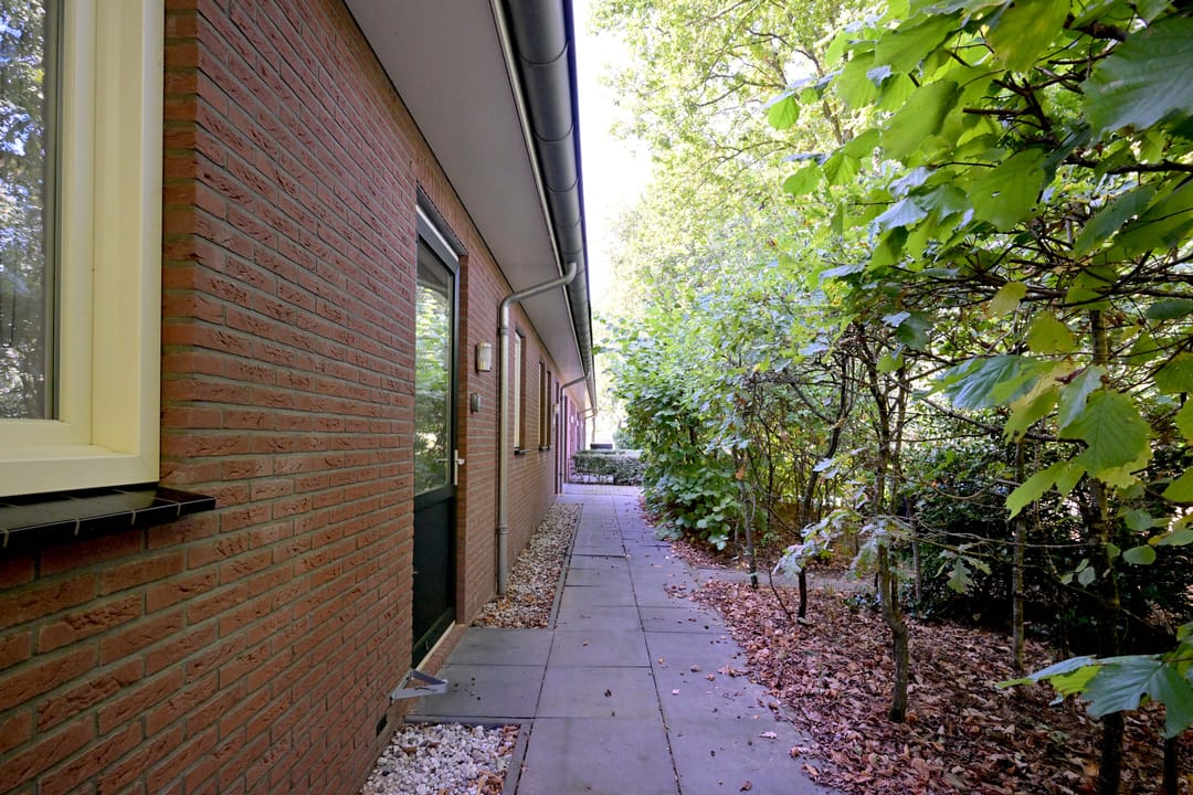 Foto 41 van Buddezand 7