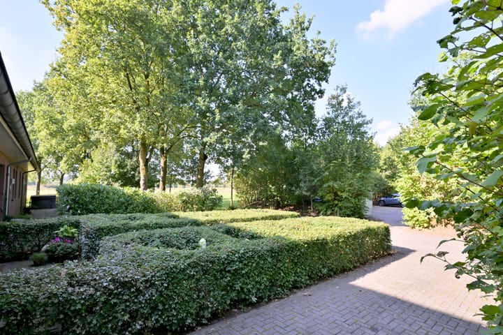 Foto 44 van Buddezand 7