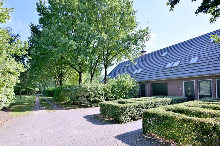 Foto 46 van Buddezand 7