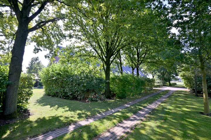 Foto 47 van Buddezand 7