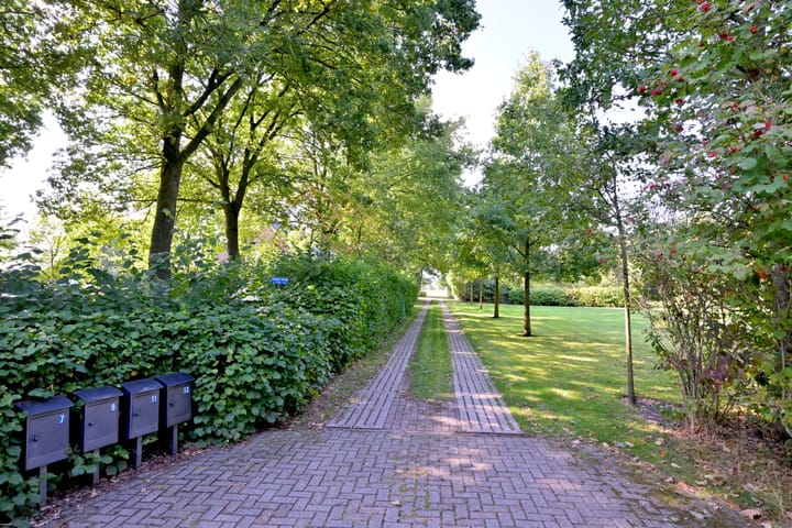 Foto 52 van Buddezand 7