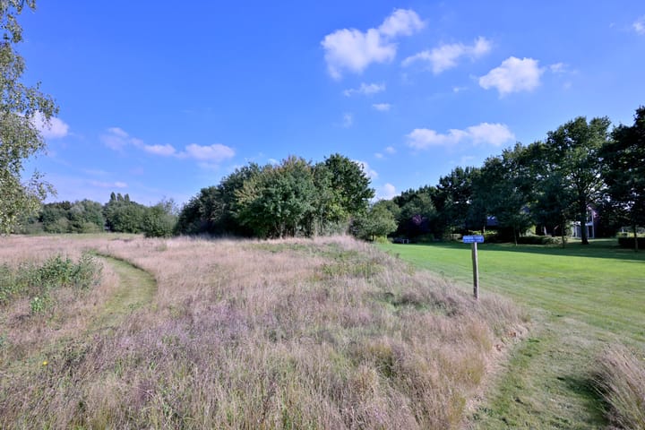 Foto 51 van Buddezand 7