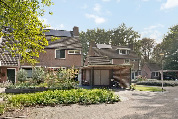 Foto 2 van Saffraan 67