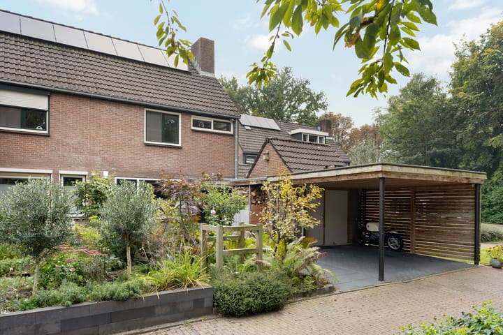 Foto 3 van Saffraan 67