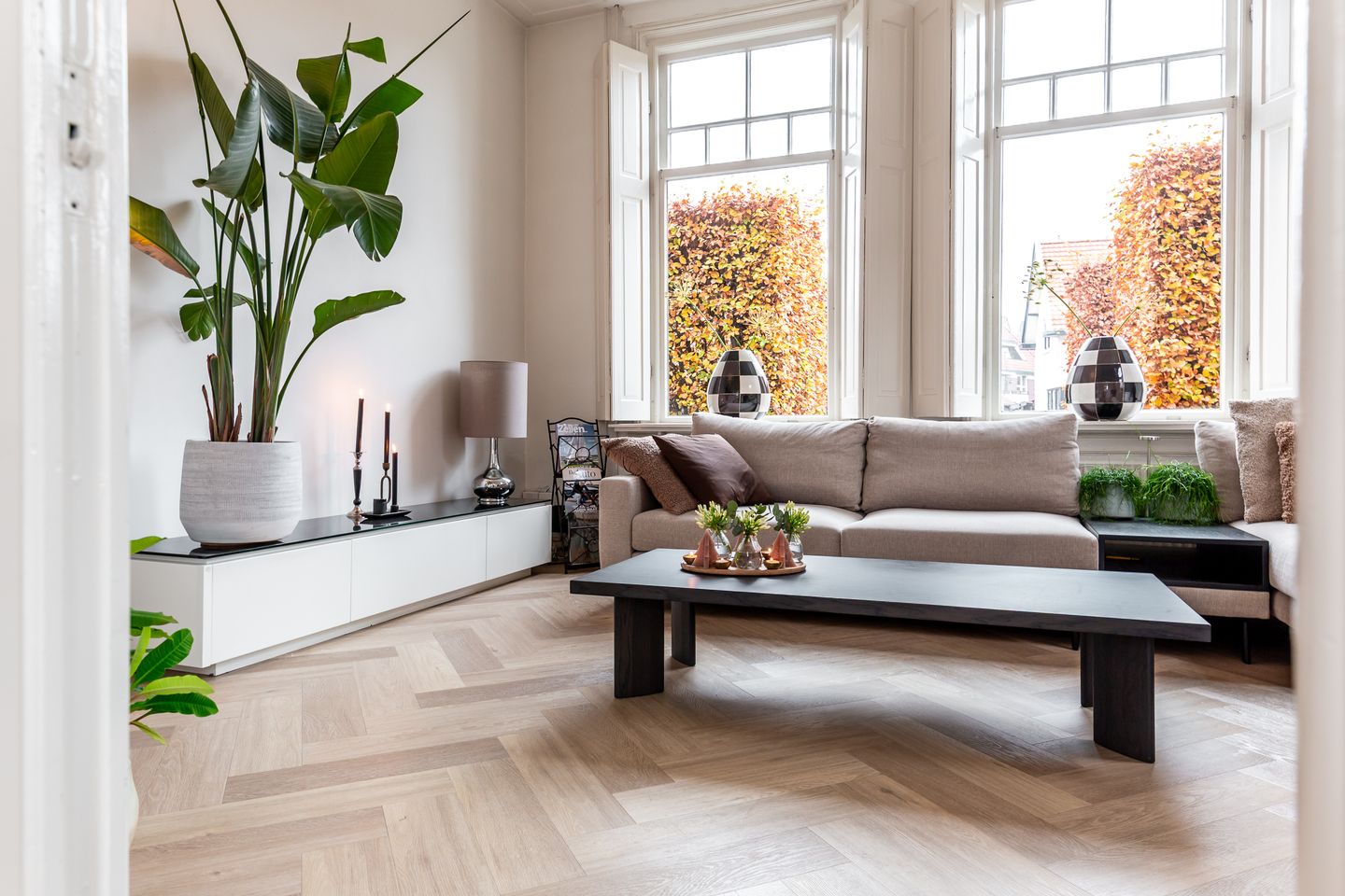 Foto 10 van Dokter Holtropstraat 93