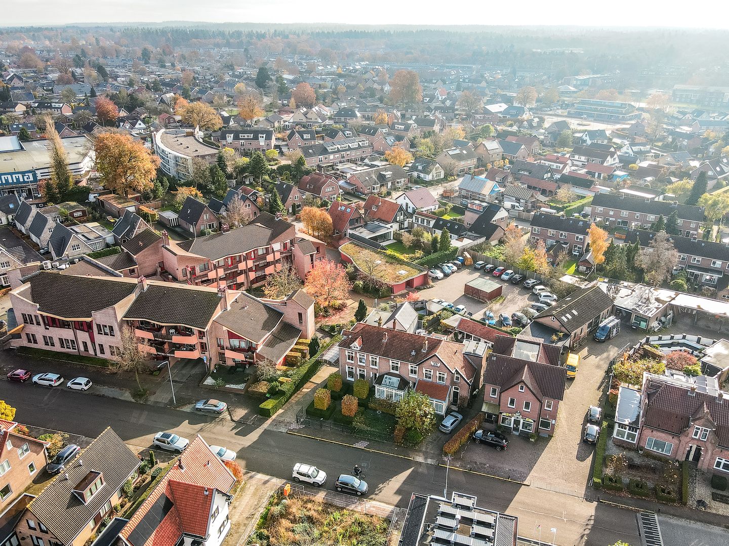 Foto 59 van Dokter Holtropstraat 93