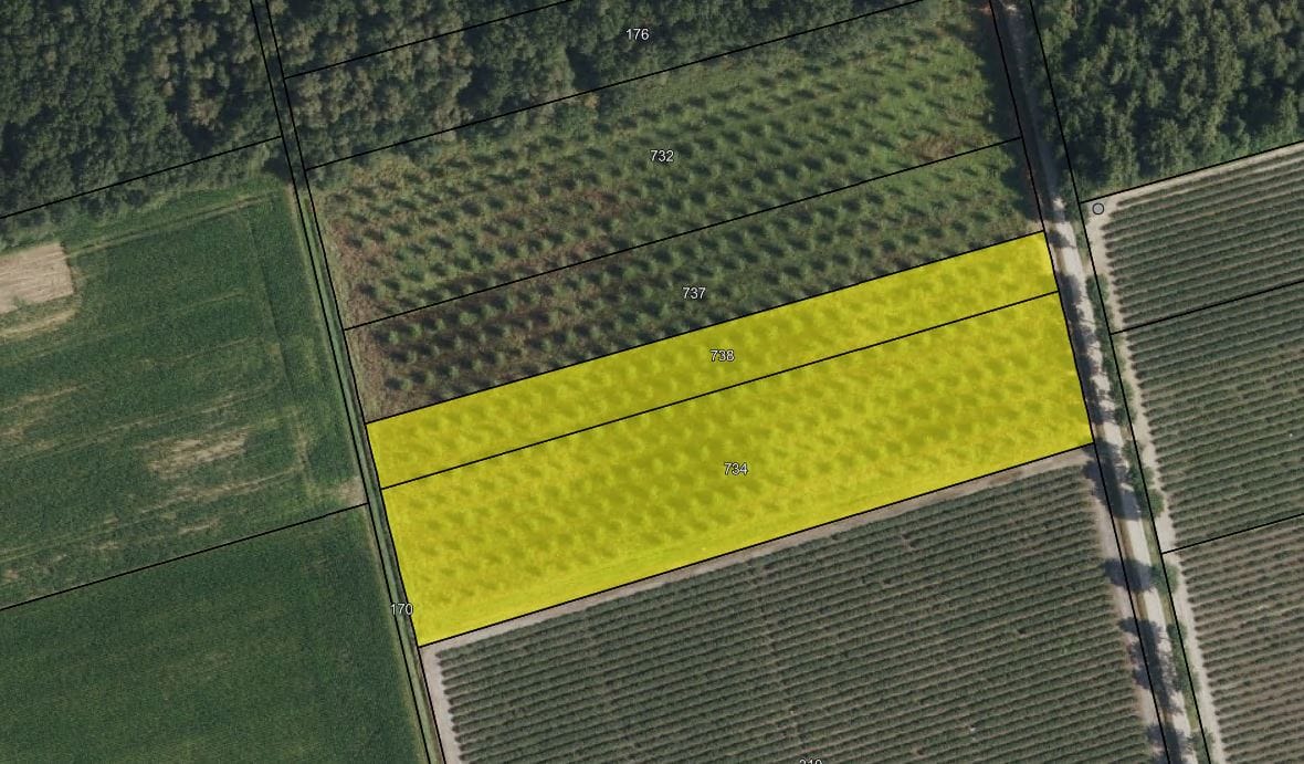 Bekijk foto 1 van Kappert